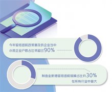 以纳税人当期销项税额抵海南民企税优政策扣进项税额后的余额为应纳税额