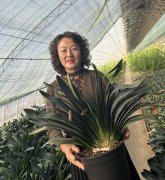 “点对点”注册快收费低海南公司精准辅导