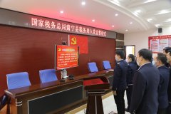 河北：税务局进海南工商代办最快行入党宣誓典礼